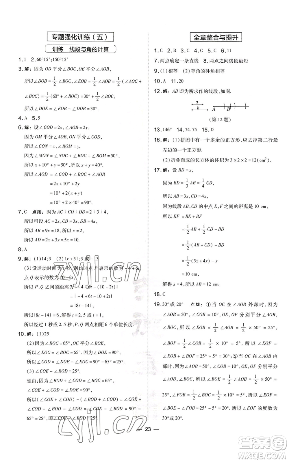 山西教育出版社2022秋季點(diǎn)撥訓(xùn)練七年級(jí)上冊(cè)數(shù)學(xué)湘教版參考答案