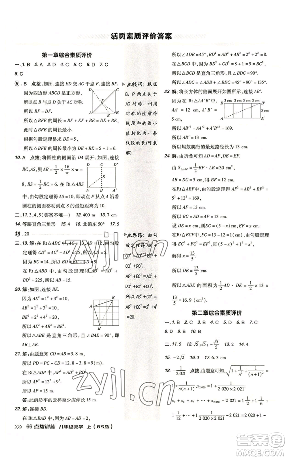 安徽教育出版社2022秋季點(diǎn)撥訓(xùn)練八年級(jí)上冊(cè)數(shù)學(xué)北師大版參考答案