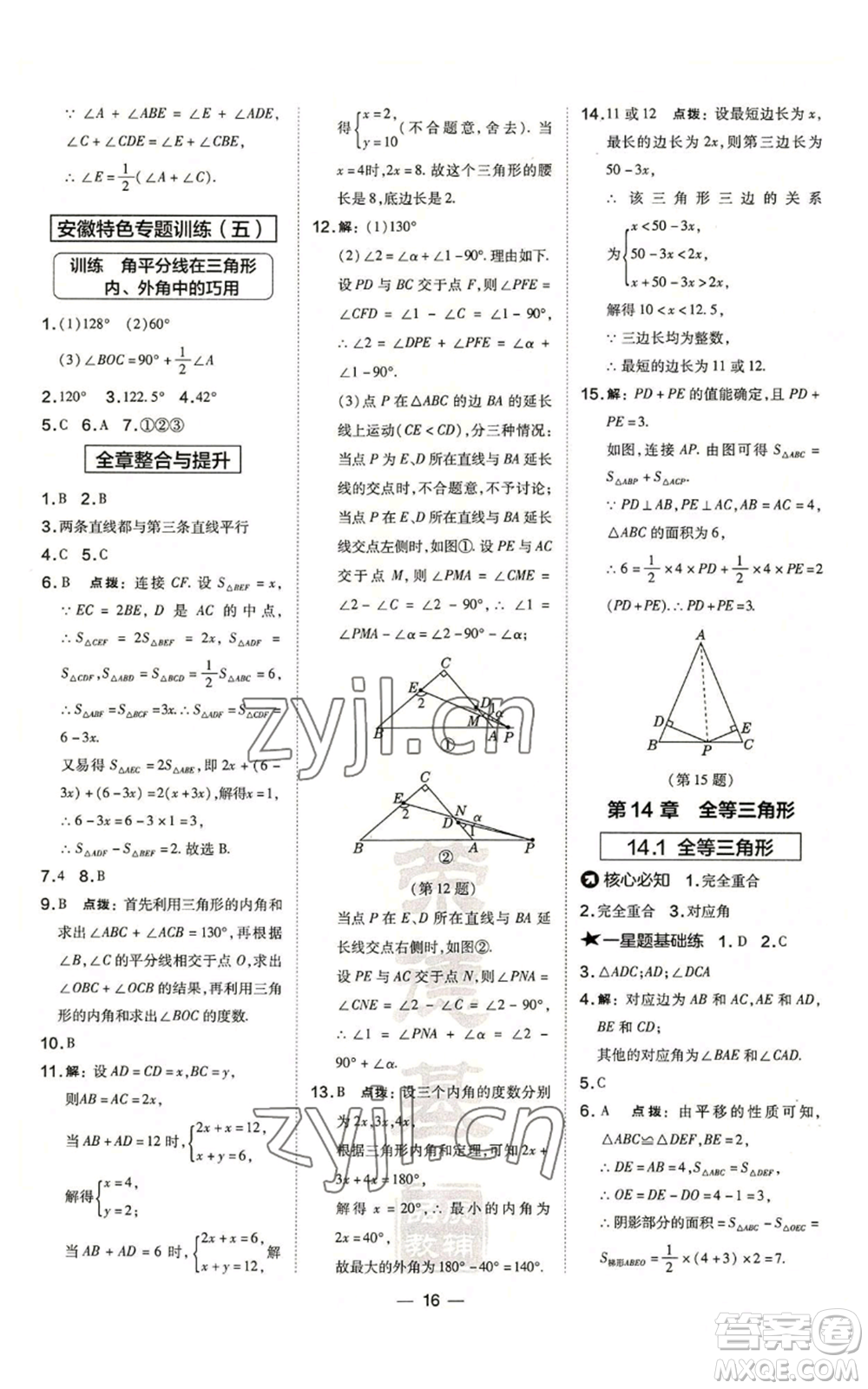 山西教育出版社2022秋季點撥訓練八年級上冊數(shù)學滬科版安徽專用參考答案