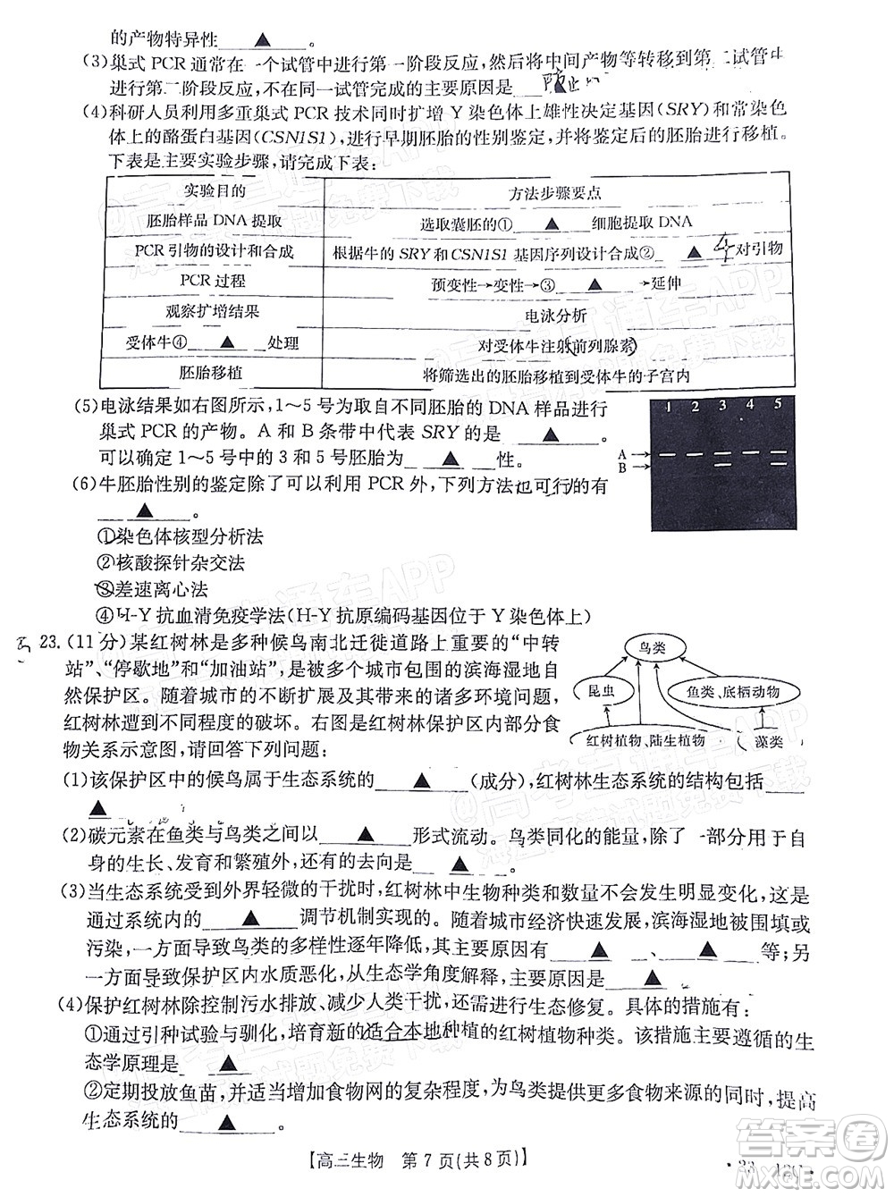 2023屆江蘇省百校聯(lián)考高三年級(jí)第一次考試生物試卷及答案