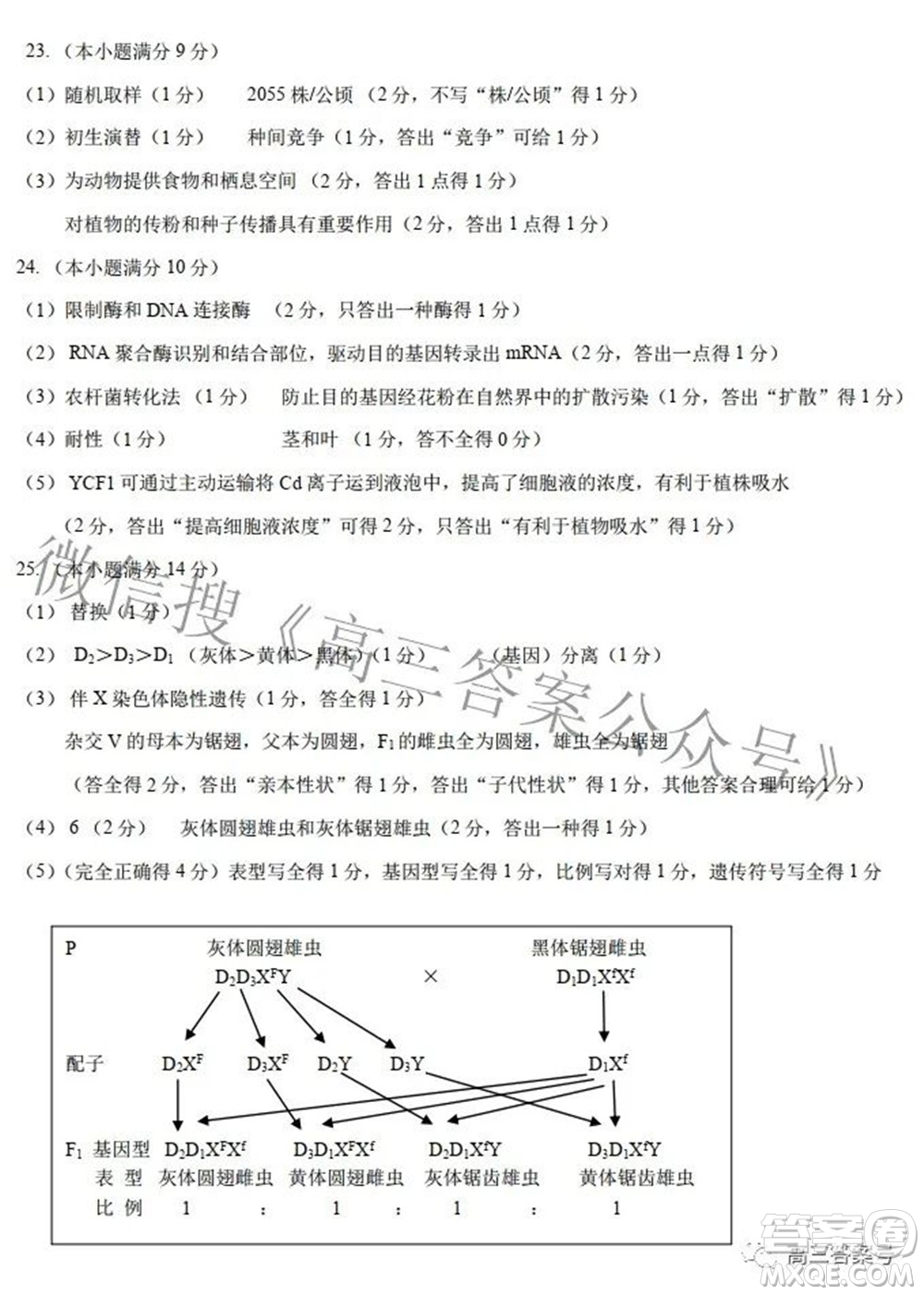 鞍山市普通高中2022-2023學(xué)年度高三第一次質(zhì)量監(jiān)測生物學(xué)試題及答案