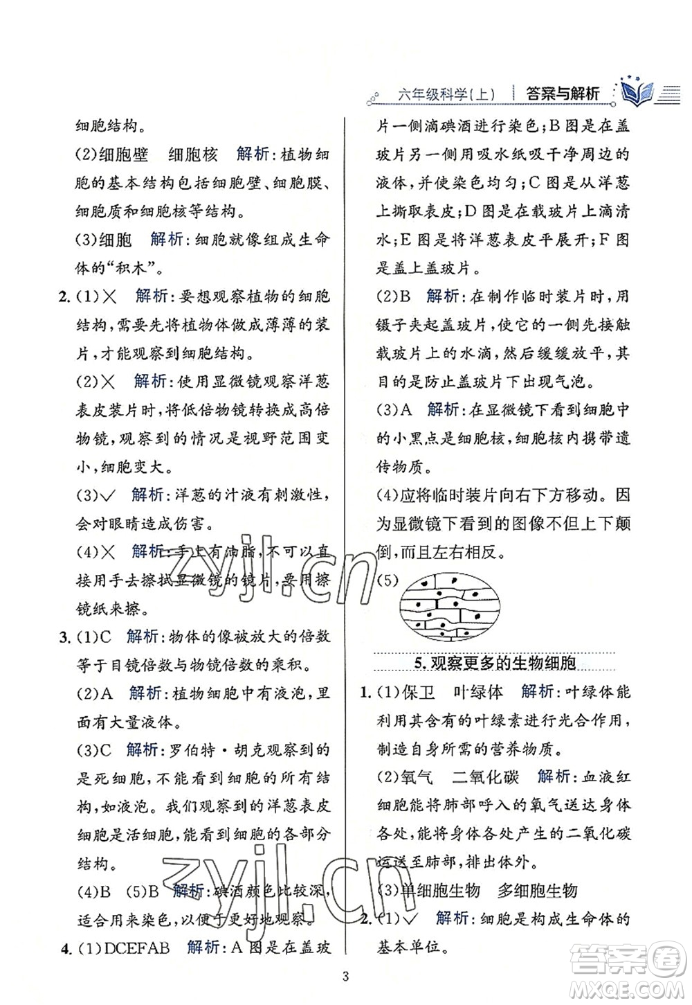 陜西人民教育出版社2022小學教材全練六年級科學上冊教育科學版答案