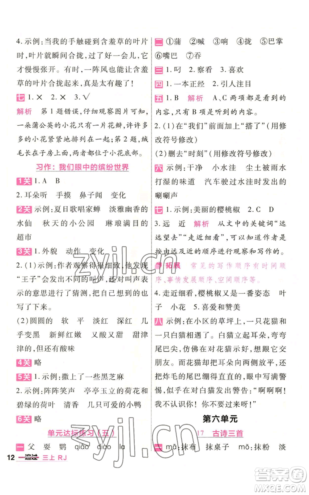 南京師范大學出版社2022秋季一遍過三年級上冊語文人教版參考答案