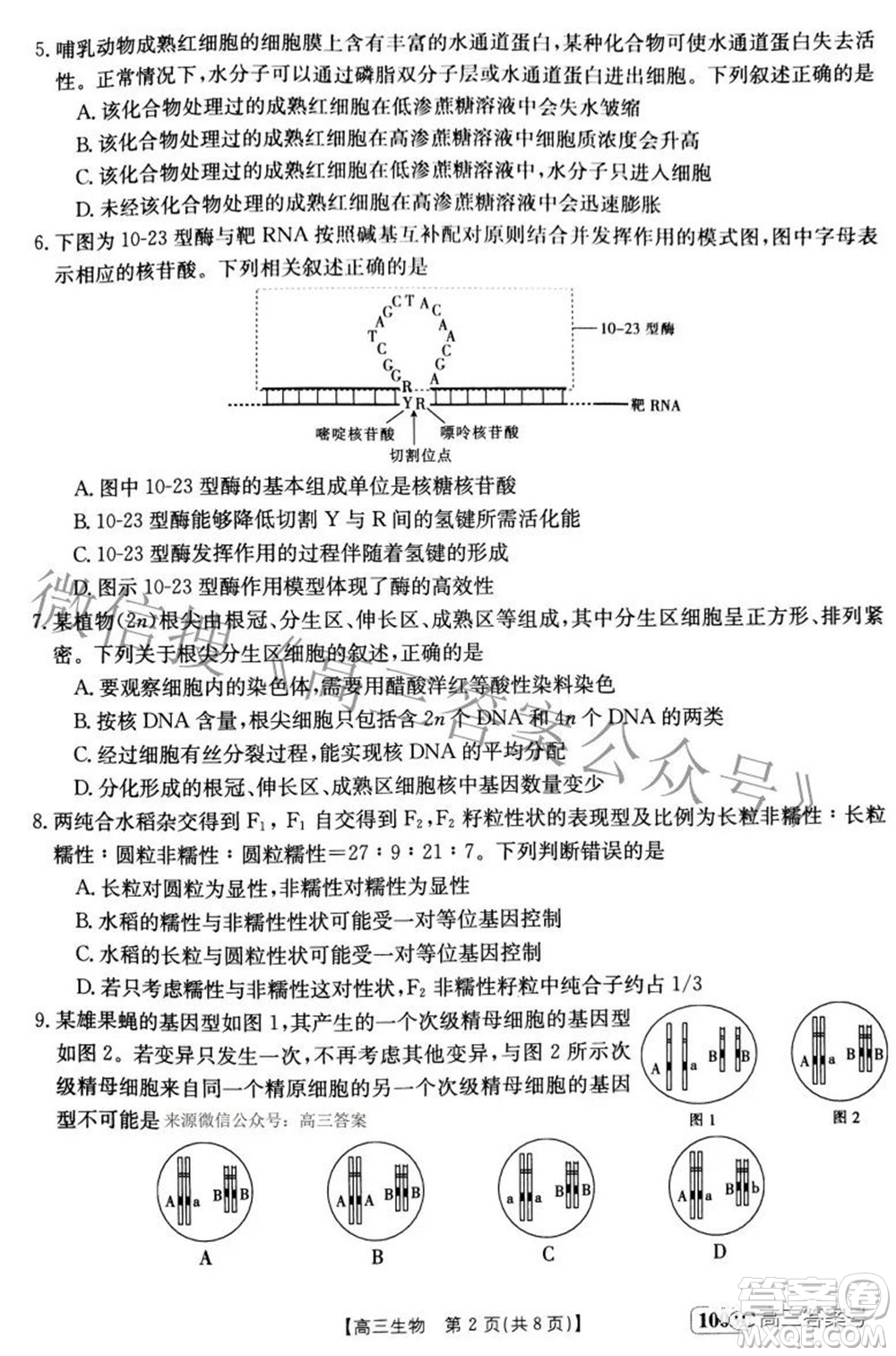 2023屆金太陽(yáng)九月聯(lián)考1003C高三生物試題及答案