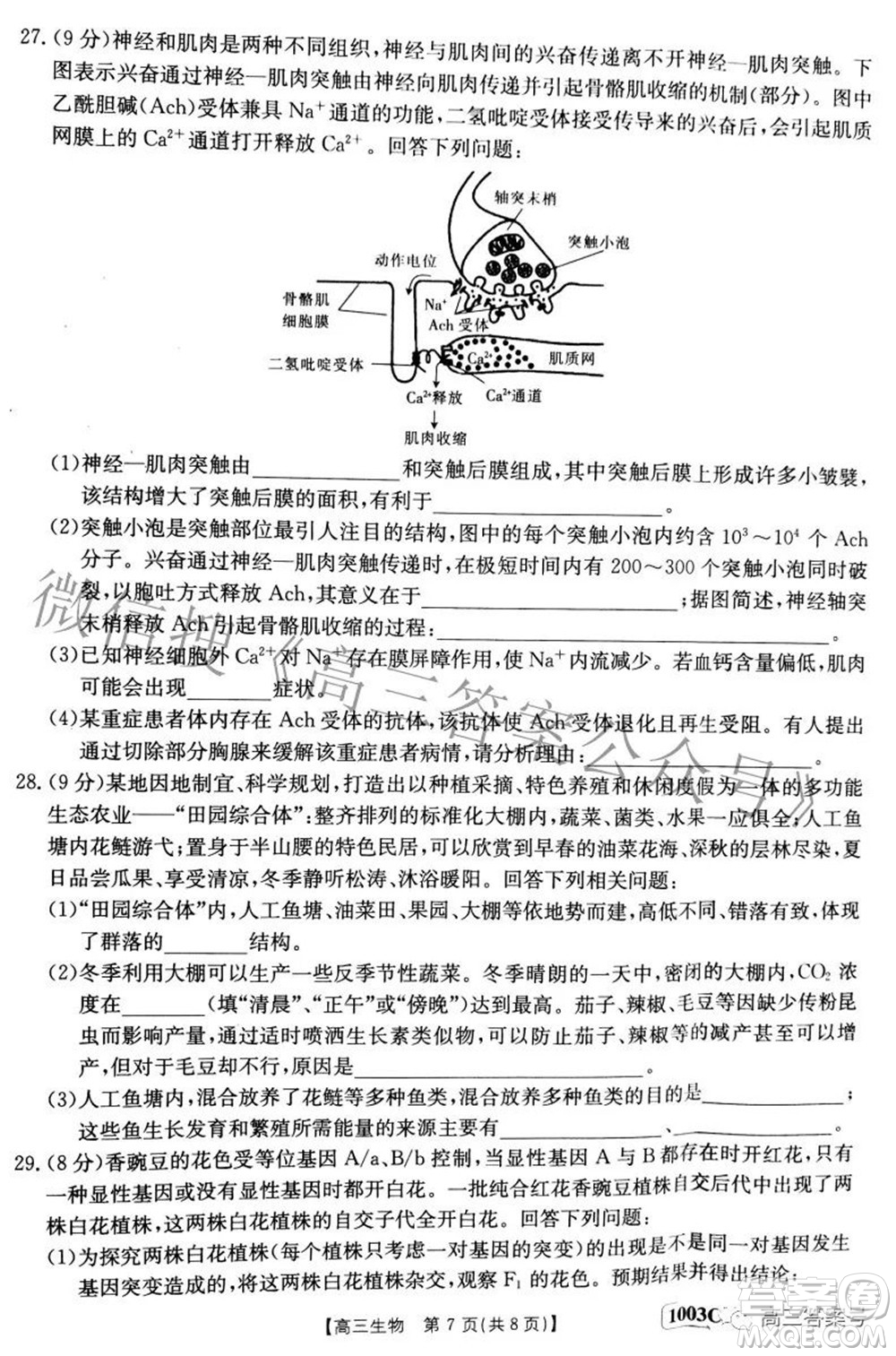 2023屆金太陽(yáng)九月聯(lián)考1003C高三生物試題及答案