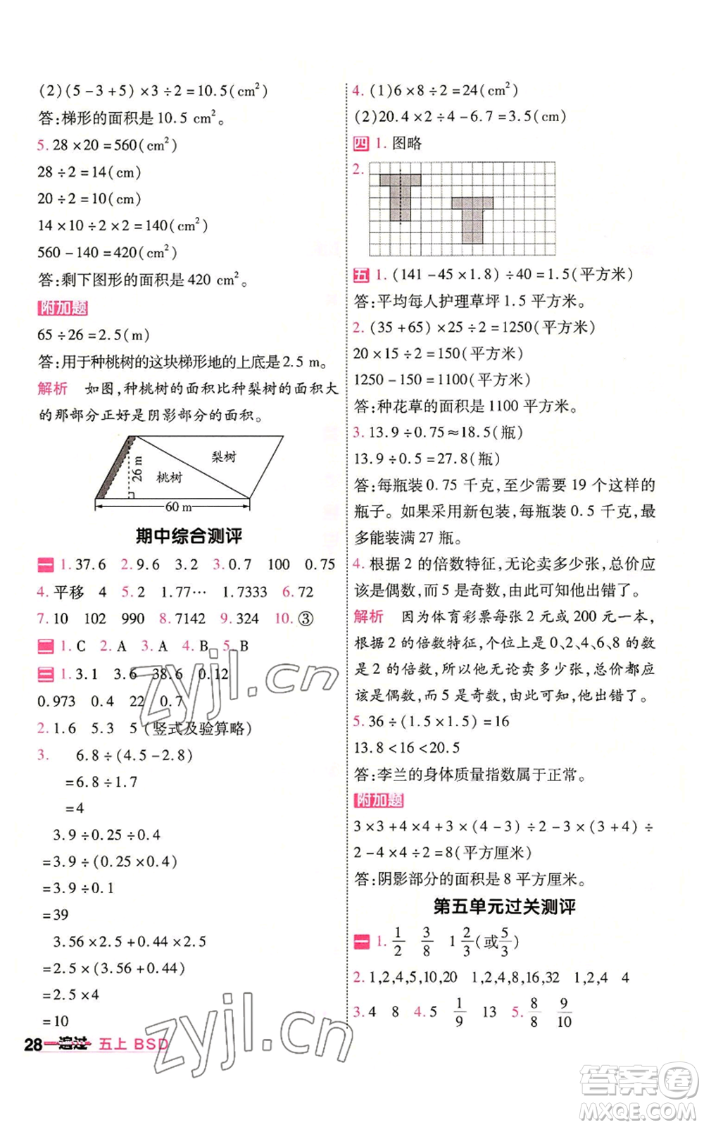 南京師范大學(xué)出版社2022秋季一遍過五年級上冊數(shù)學(xué)北師大版參考答案