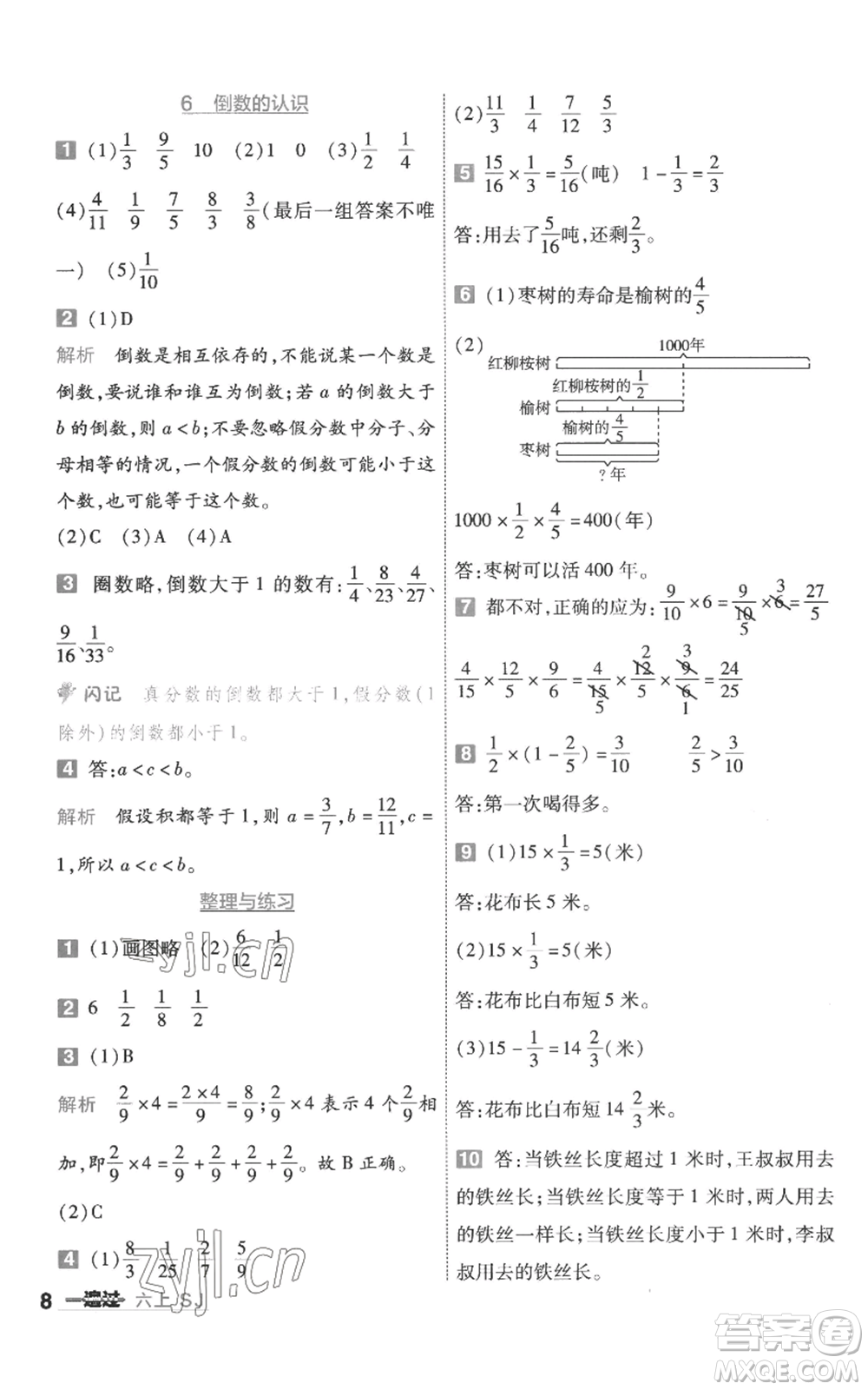 南京師范大學(xué)出版社2022秋季一遍過六年級上冊數(shù)學(xué)蘇教版參考答案
