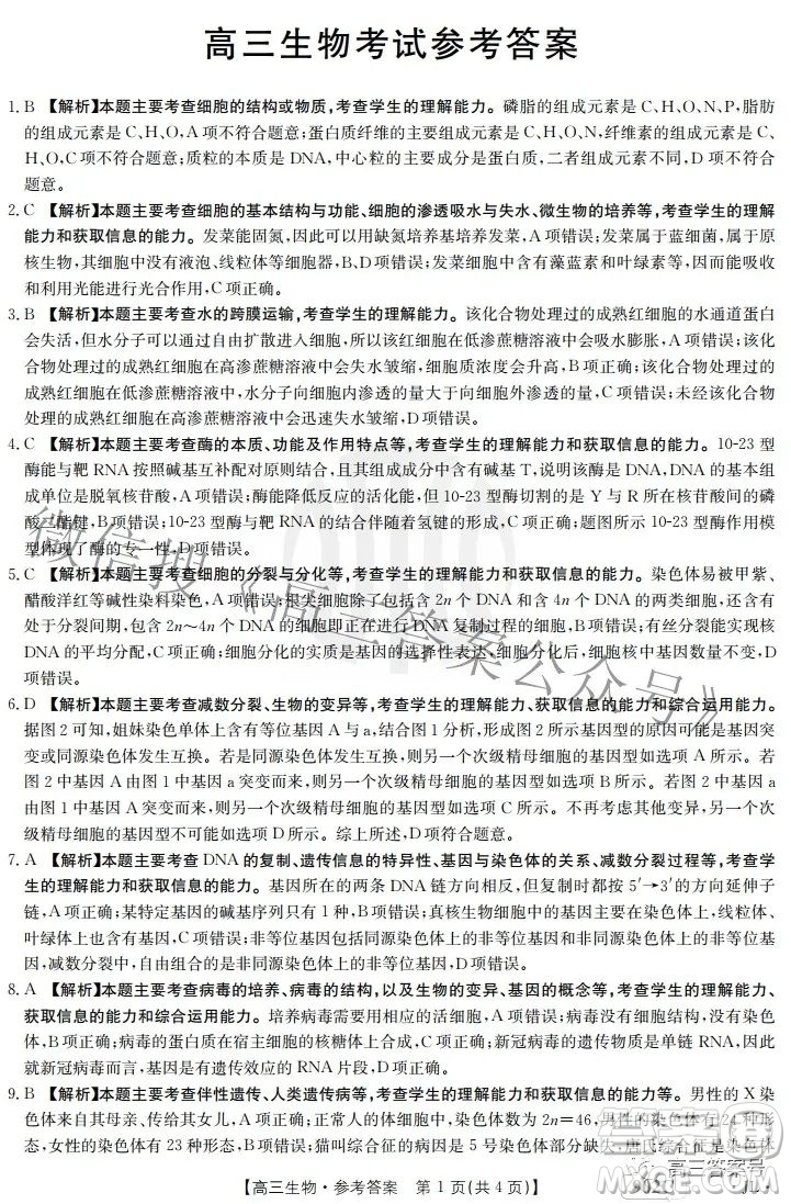 2023屆吉林金太陽9月聯(lián)考高三生物答案