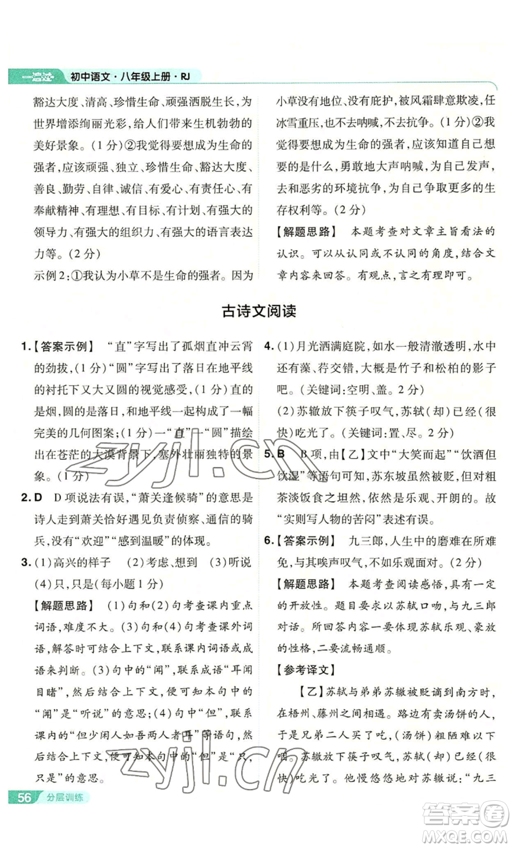 南京師范大學(xué)出版社2022秋季一遍過(guò)八年級(jí)上冊(cè)語(yǔ)文人教版參考答案