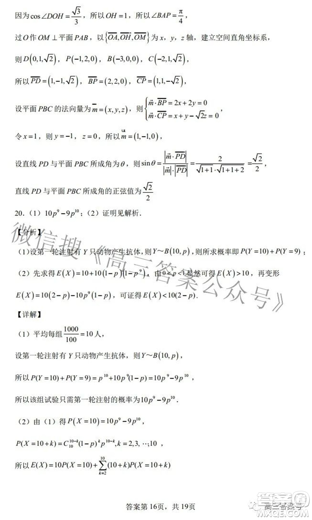 雅禮十六校2023屆高三上學期第一次聯(lián)考數(shù)學試題及答案