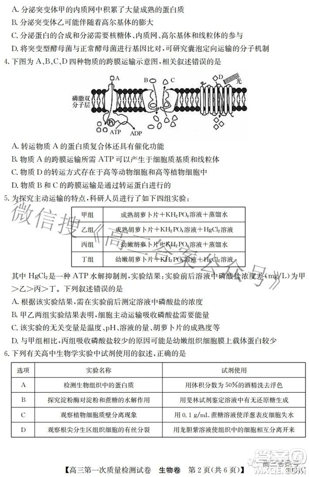 2023屆惠陽(yáng)中山龍門中學(xué)惠舟仲愷中學(xué)三校高三第一次質(zhì)量檢測(cè)試卷生物試題及答案