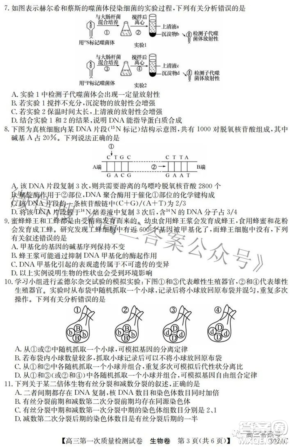 2023屆惠陽(yáng)中山龍門中學(xué)惠舟仲愷中學(xué)三校高三第一次質(zhì)量檢測(cè)試卷生物試題及答案