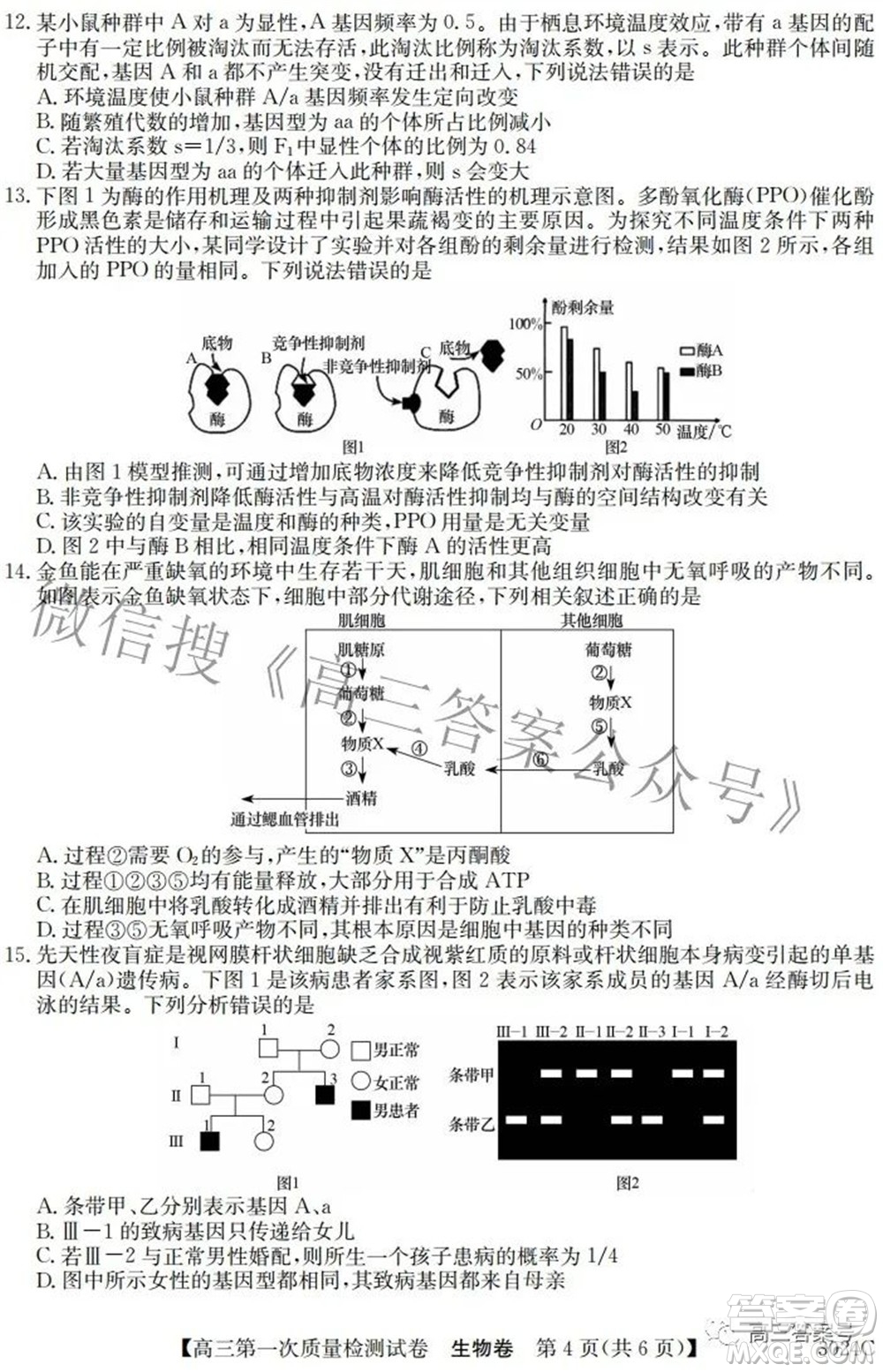 2023屆惠陽(yáng)中山龍門中學(xué)惠舟仲愷中學(xué)三校高三第一次質(zhì)量檢測(cè)試卷生物試題及答案