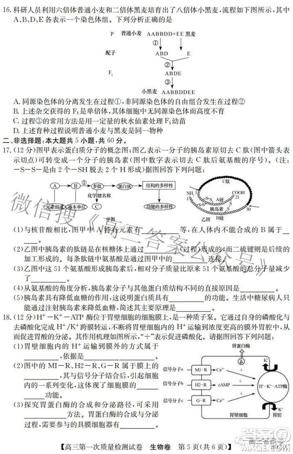 2023屆惠陽(yáng)中山龍門中學(xué)惠舟仲愷中學(xué)三校高三第一次質(zhì)量檢測(cè)試卷生物試題及答案