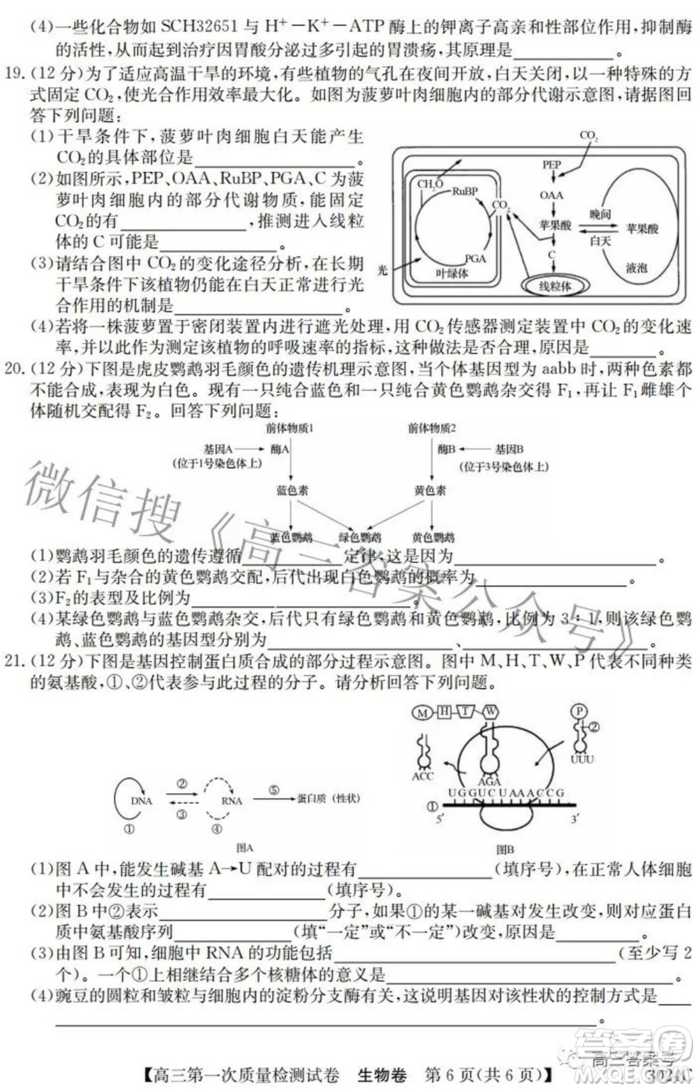 2023屆惠陽(yáng)中山龍門中學(xué)惠舟仲愷中學(xué)三校高三第一次質(zhì)量檢測(cè)試卷生物試題及答案