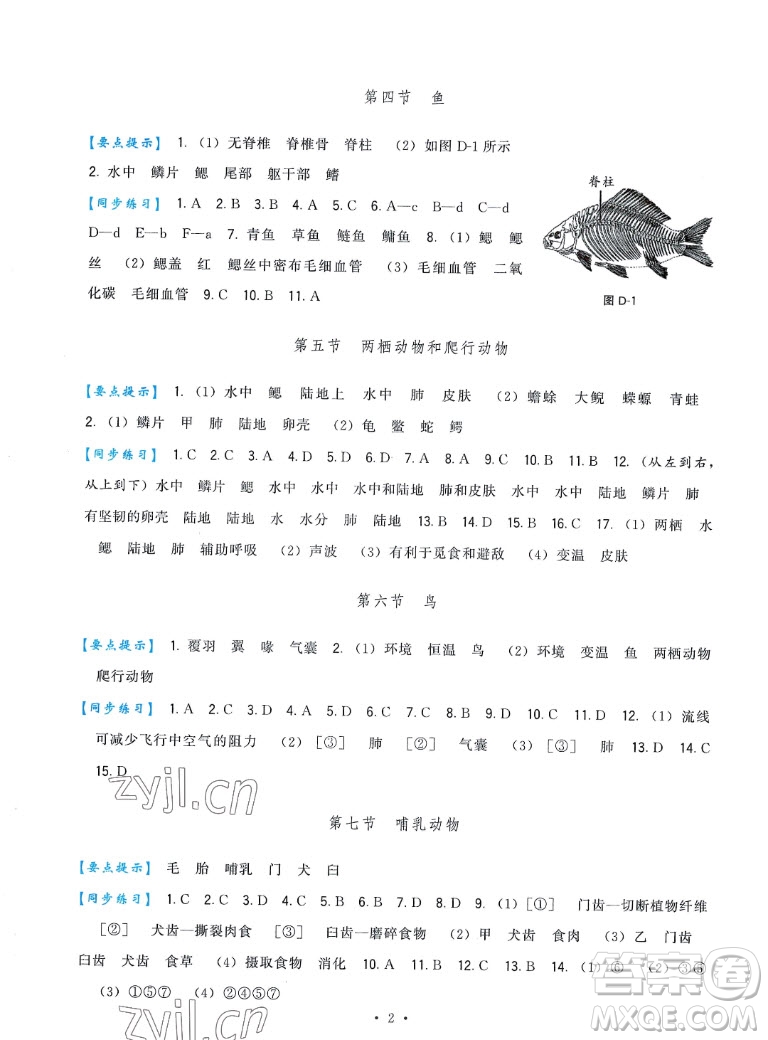 福建人民出版社2022秋頂尖課課練生物八年級上冊人教版答案