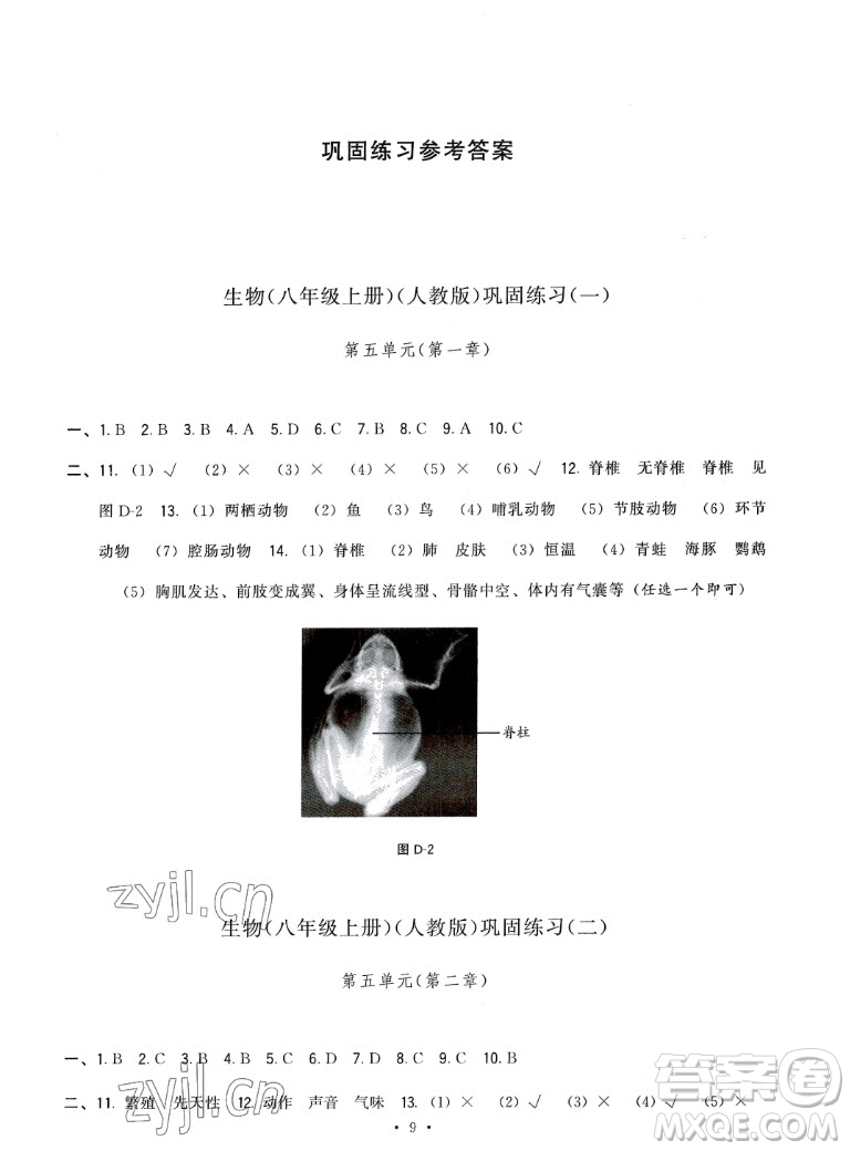 福建人民出版社2022秋頂尖課課練生物八年級上冊人教版答案