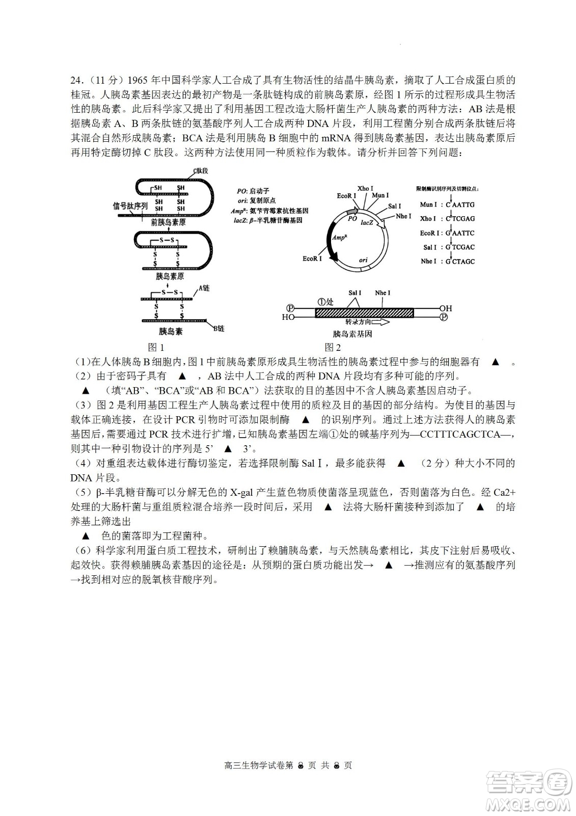 南京市2023屆高三年級學(xué)情調(diào)研生物試題及答案