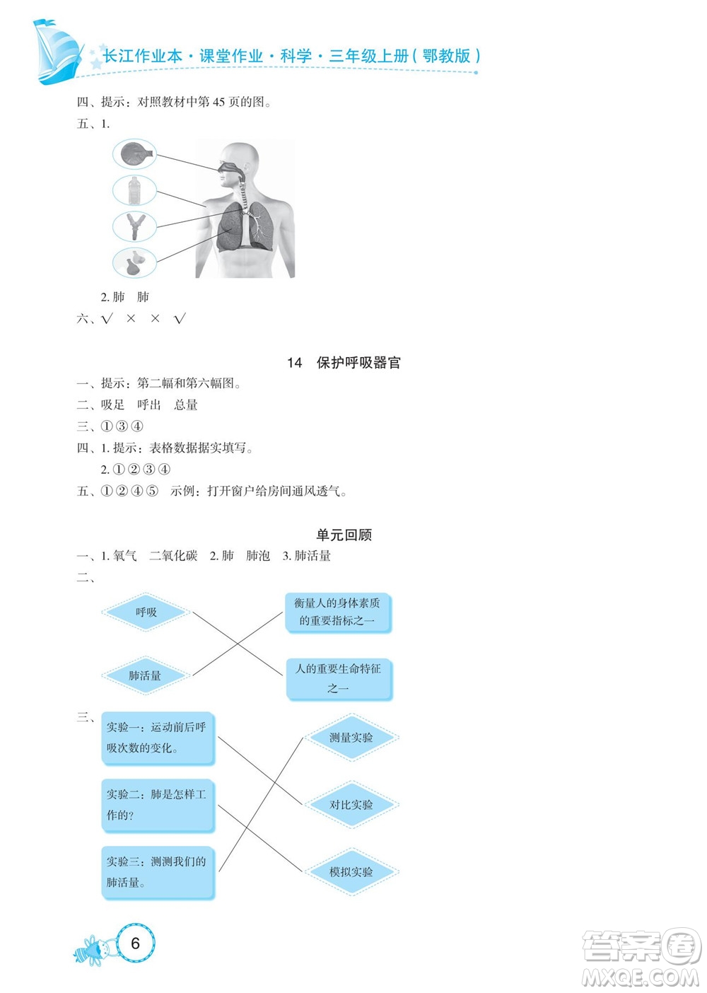 湖北教育出版社2022秋長(zhǎng)江作業(yè)本課堂作業(yè)科學(xué)三年級(jí)上冊(cè)人教鄂教版答案