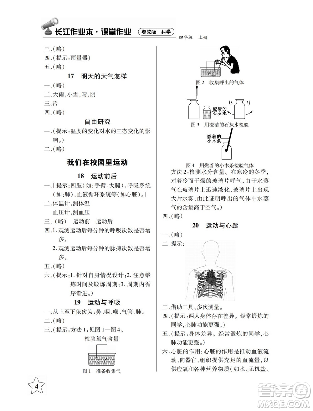 湖北教育出版社2022秋長江作業(yè)本課堂作業(yè)科學(xué)四年級(jí)上冊(cè)人教鄂教版答案