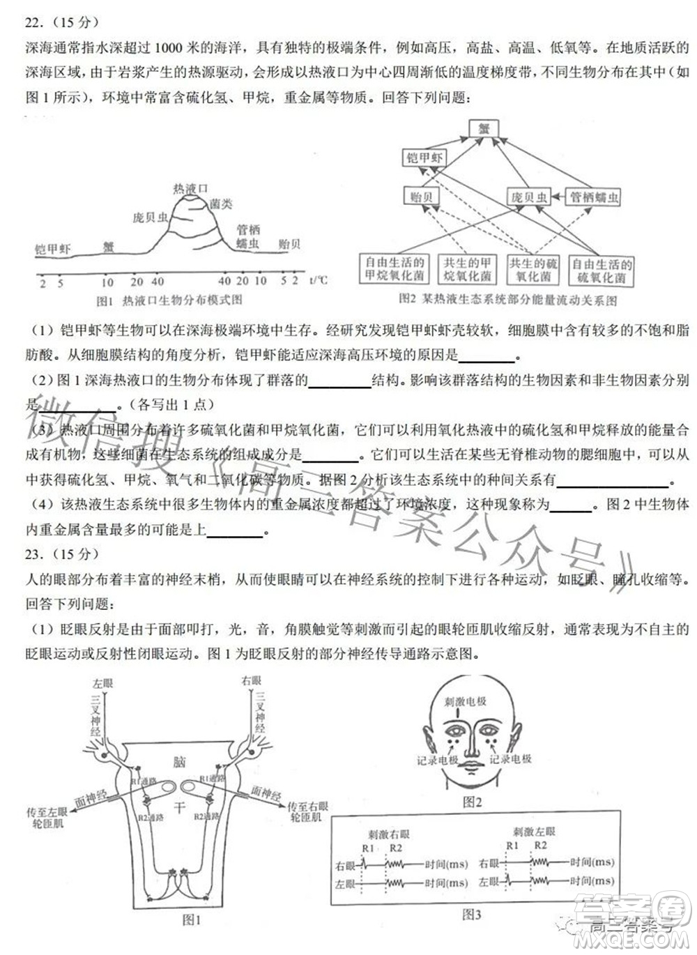 2022-2023學(xué)年度武漢市部分學(xué)校高三年級九月調(diào)研考試生物學(xué)答案