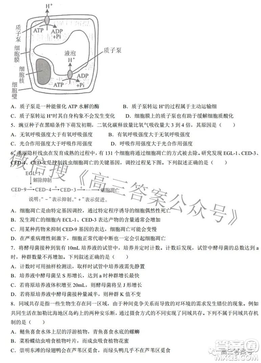 2022-2023學(xué)年度武漢市部分學(xué)校高三年級九月調(diào)研考試生物學(xué)答案