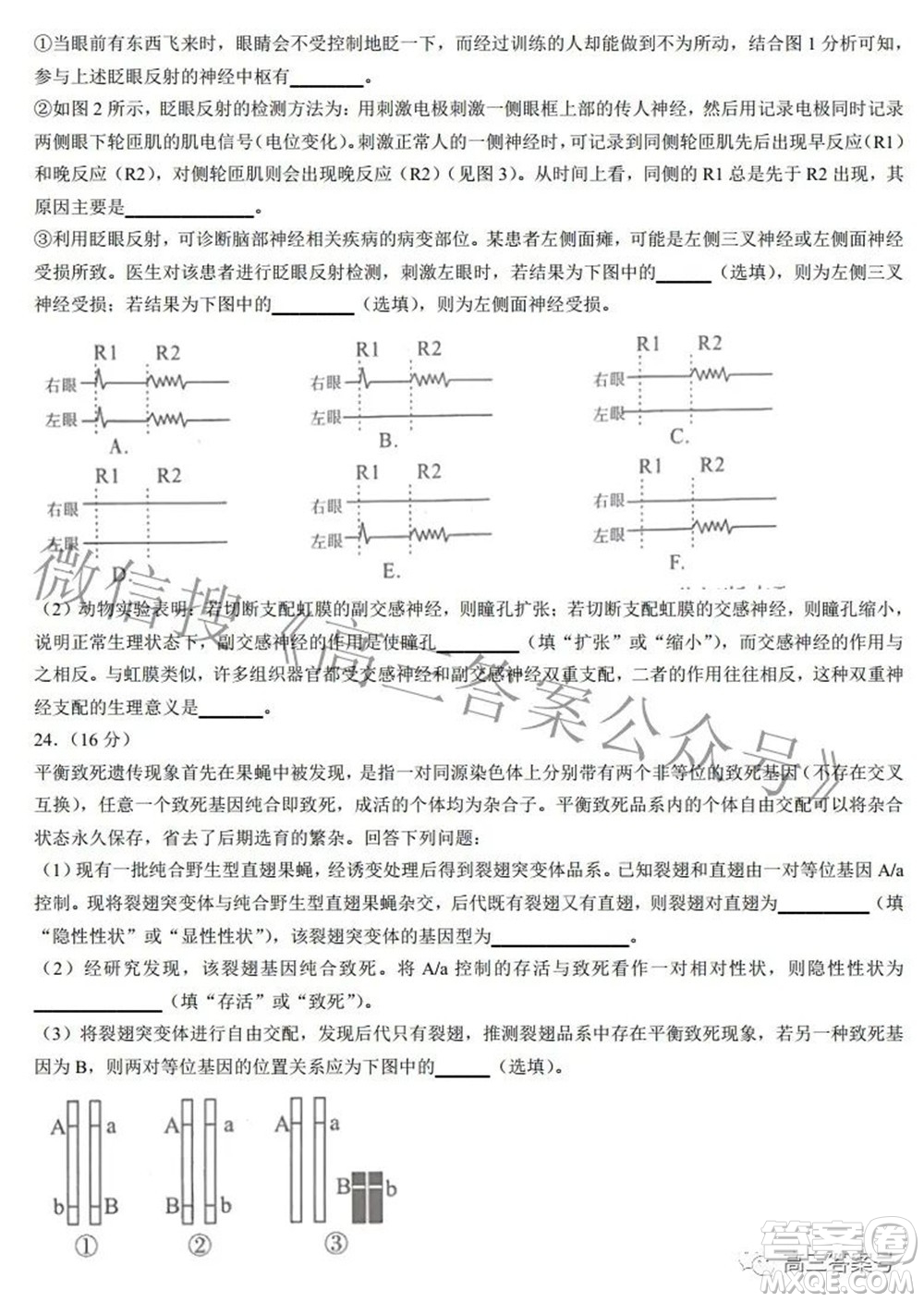 2022-2023學(xué)年度武漢市部分學(xué)校高三年級九月調(diào)研考試生物學(xué)答案