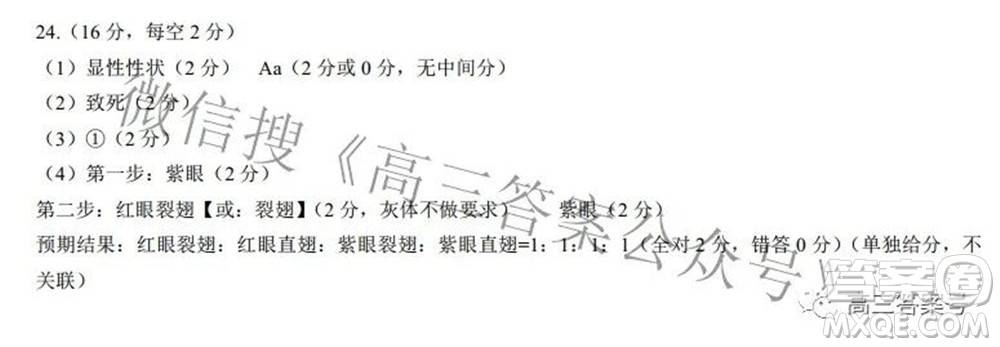 2022-2023學(xué)年度武漢市部分學(xué)校高三年級九月調(diào)研考試生物學(xué)答案