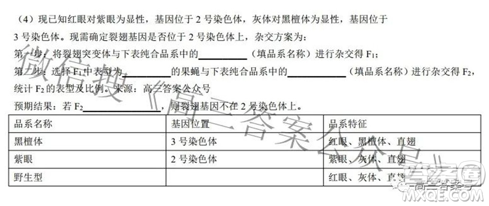 2022-2023學(xué)年度武漢市部分學(xué)校高三年級九月調(diào)研考試生物學(xué)答案