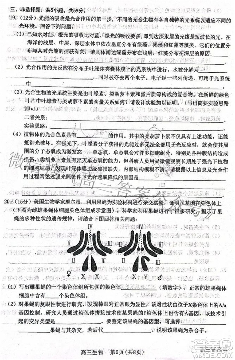 河北省2023屆高三學(xué)生全過(guò)程縱向評(píng)價(jià)一生物試題及答案