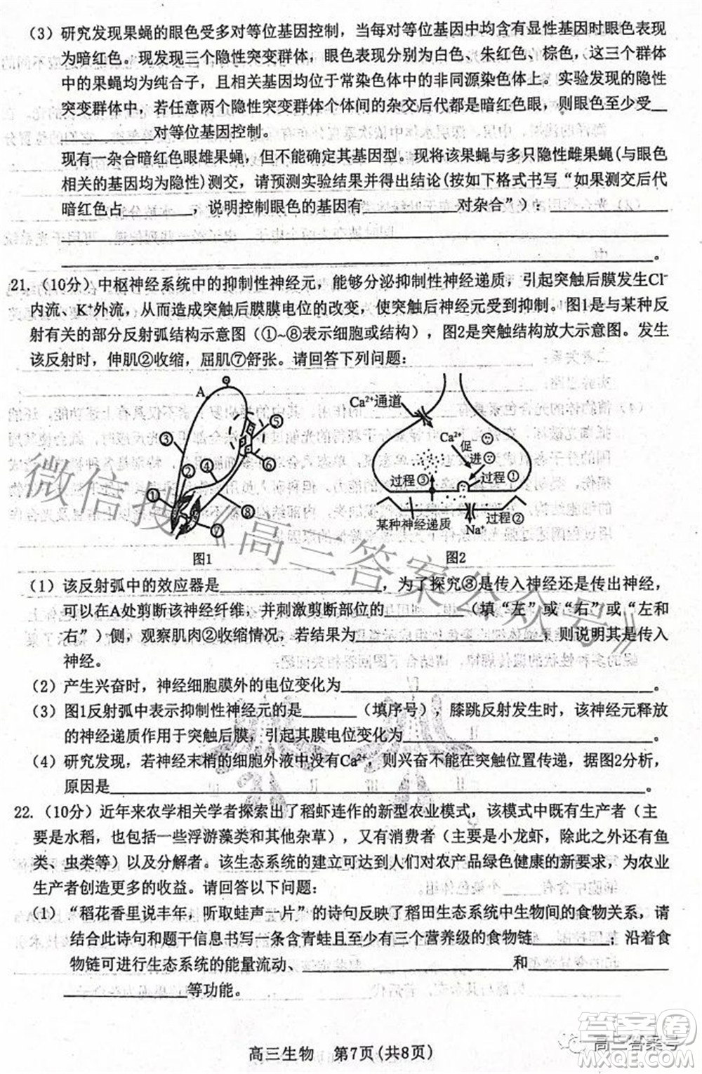 河北省2023屆高三學(xué)生全過(guò)程縱向評(píng)價(jià)一生物試題及答案