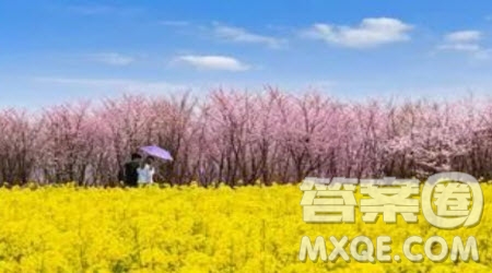 有你的地方就有風(fēng)景作文600字 關(guān)于有你的地方就有風(fēng)景的作文600字