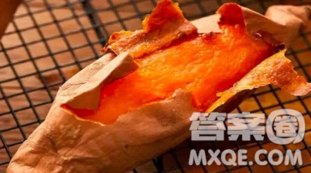 讓你記憶深刻的味道作文600字 關于寫讓你記憶深刻的味道作文600字