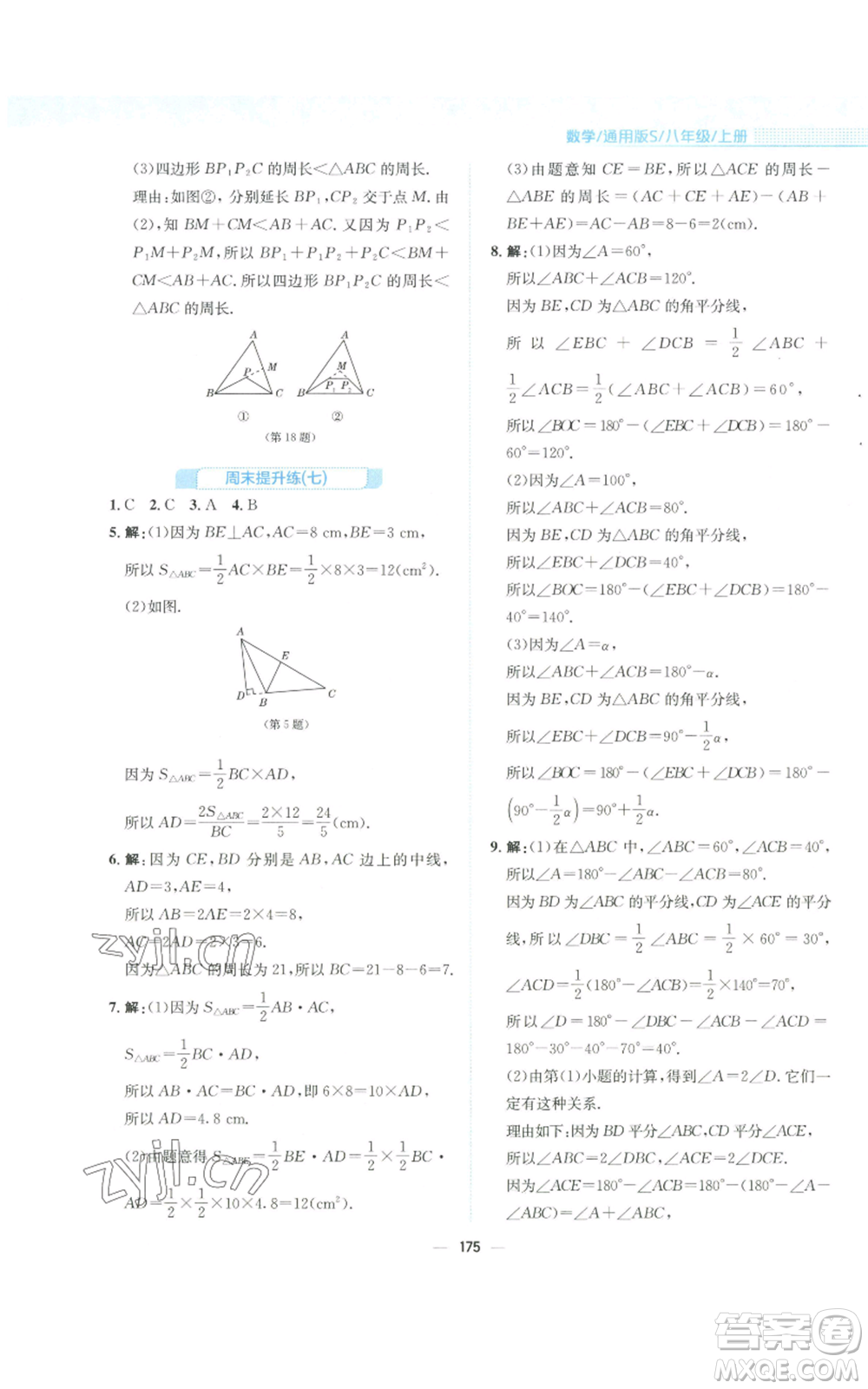 安徽教育出版社2022新編基礎訓練八年級上冊數(shù)學通用版S參考答案