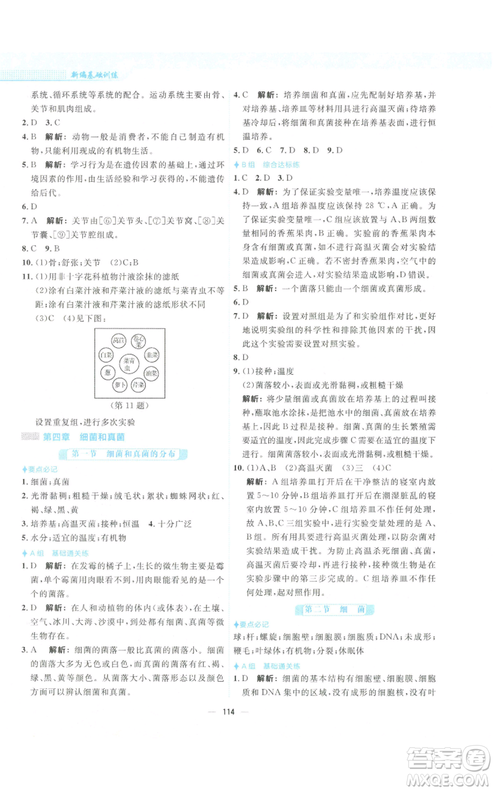 安徽教育出版社2022新編基礎(chǔ)訓(xùn)練八年級(jí)上冊(cè)生物學(xué)人教版參考答案