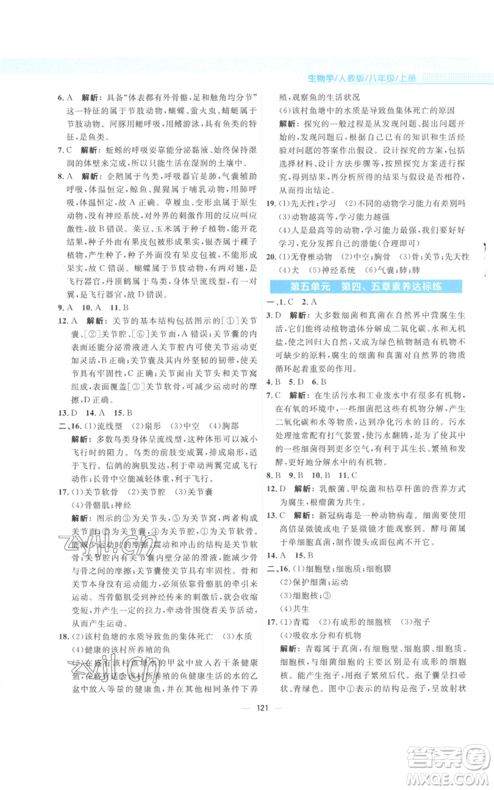安徽教育出版社2022新編基礎(chǔ)訓(xùn)練八年級(jí)上冊(cè)生物學(xué)人教版參考答案