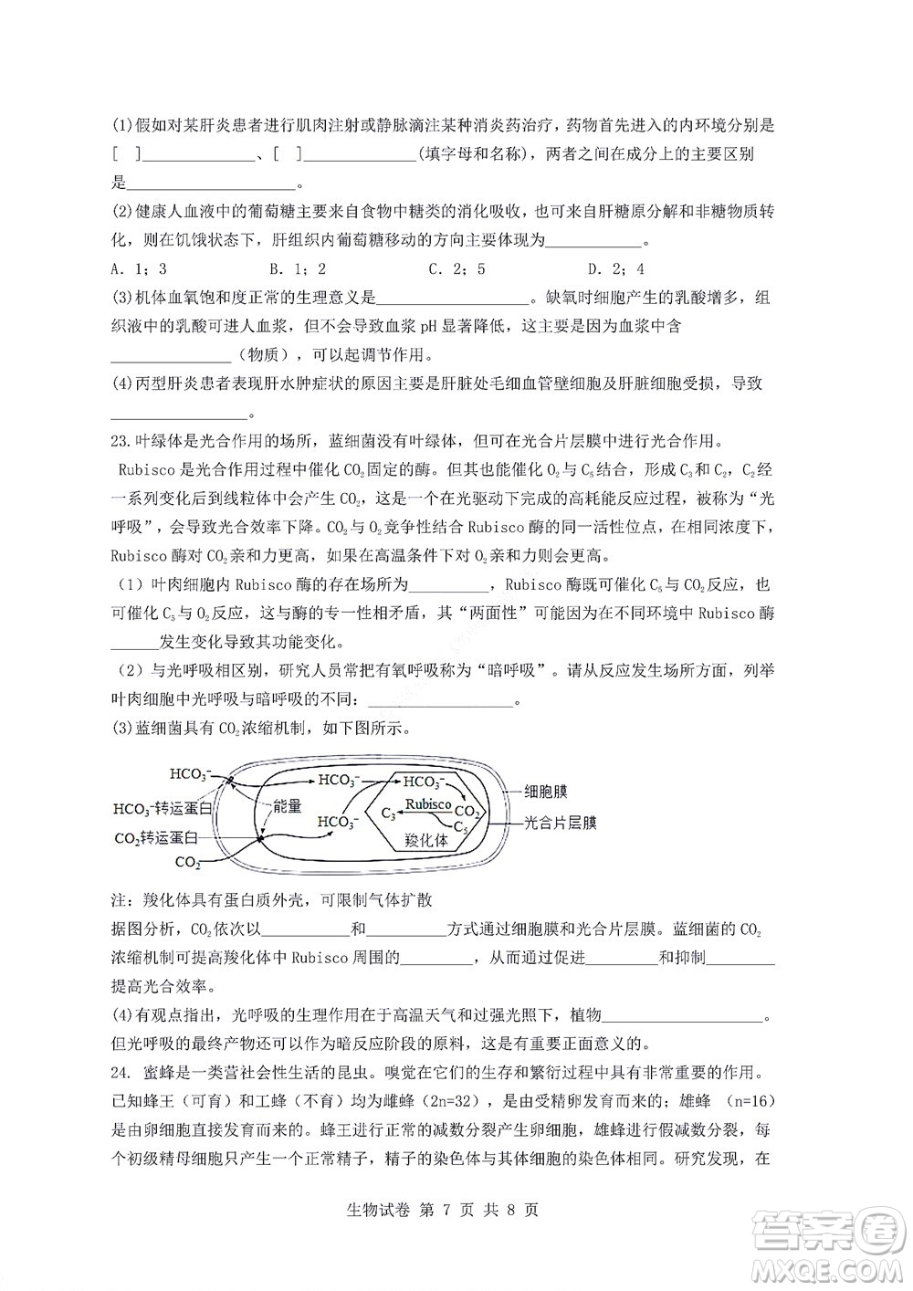 2022年湖北云學(xué)新高考聯(lián)盟學(xué)校高二年級9月聯(lián)考生物試卷及答案