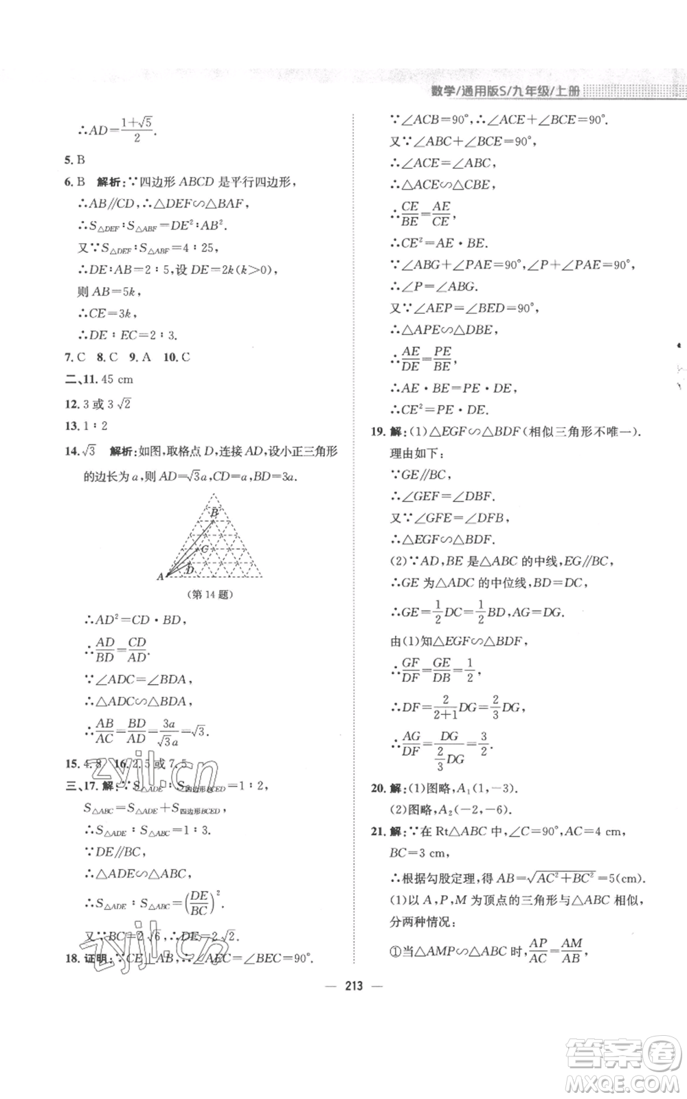 安徽教育出版社2022新編基礎(chǔ)訓(xùn)練九年級(jí)上冊(cè)數(shù)學(xué)通用版S參考答案