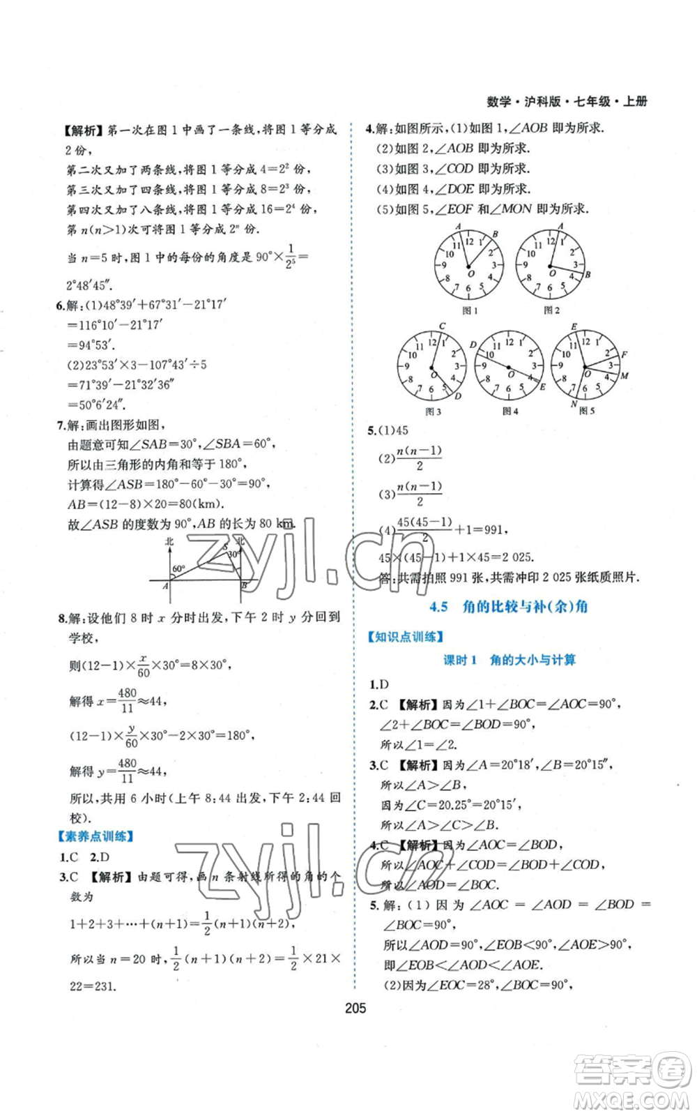 黃山書社2022新編基礎訓練七年級上冊數(shù)學滬科版參考答案