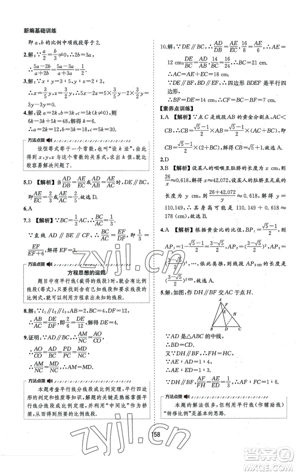 黃山書社2022新編基礎(chǔ)訓練九年級上冊數(shù)學滬科版參考答案