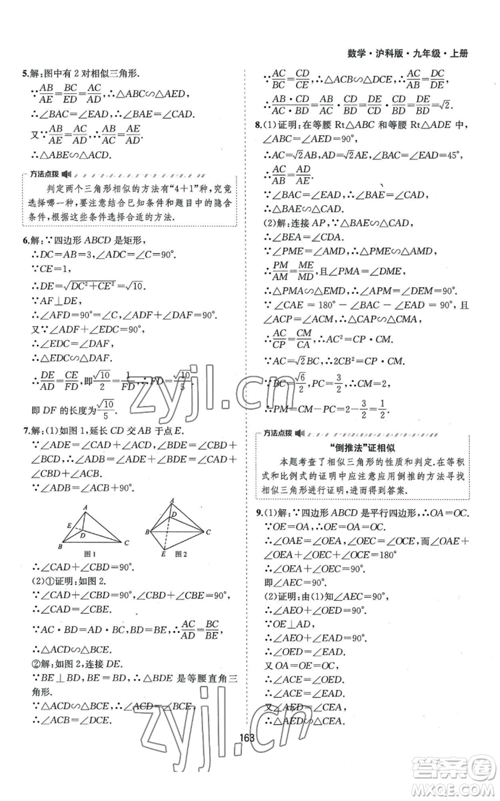 黃山書社2022新編基礎(chǔ)訓練九年級上冊數(shù)學滬科版參考答案