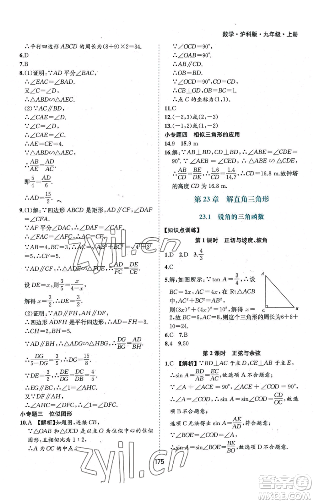 黃山書社2022新編基礎(chǔ)訓練九年級上冊數(shù)學滬科版參考答案