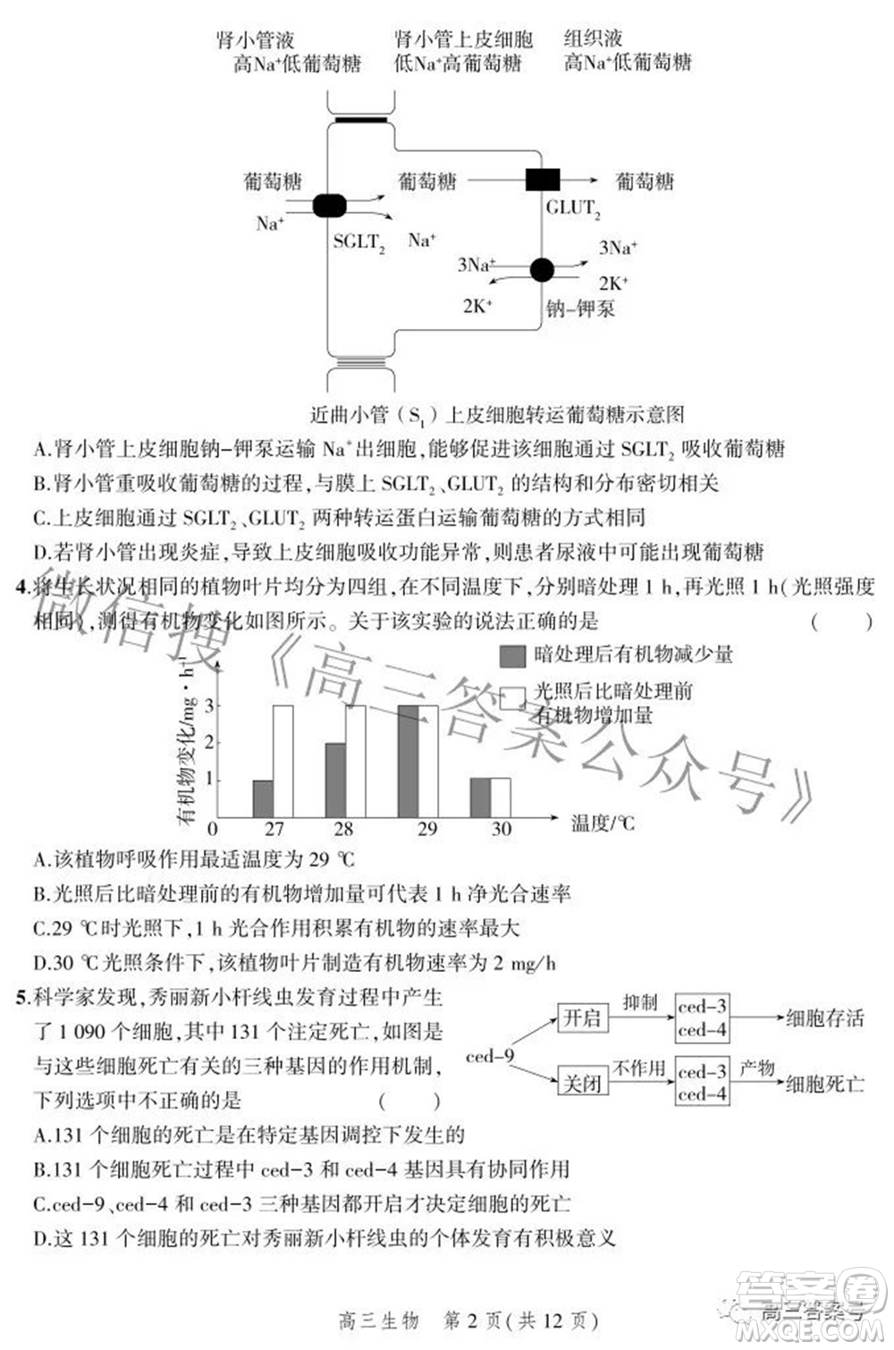 2023屆河北省示范性高中高三年級調(diào)研考試生物試題及答案