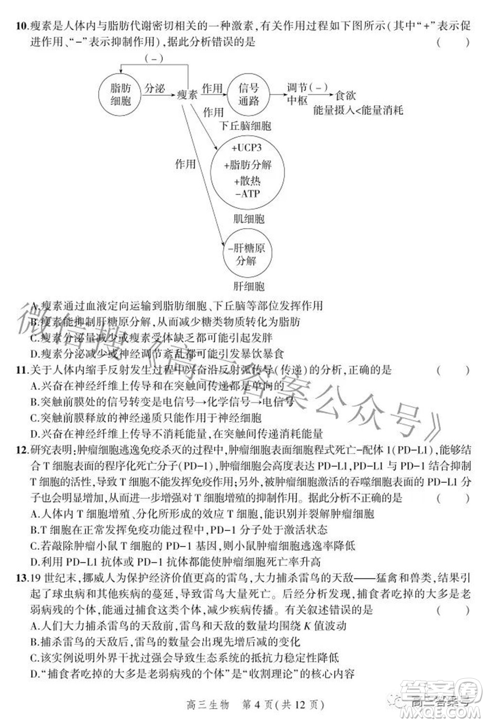 2023屆河北省示范性高中高三年級調(diào)研考試生物試題及答案