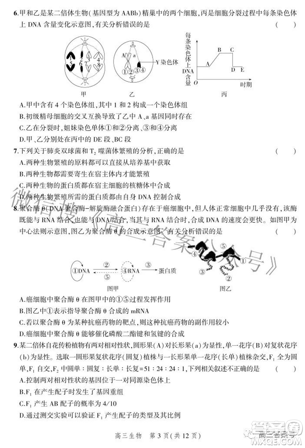 2023屆河北省示范性高中高三年級調(diào)研考試生物試題及答案