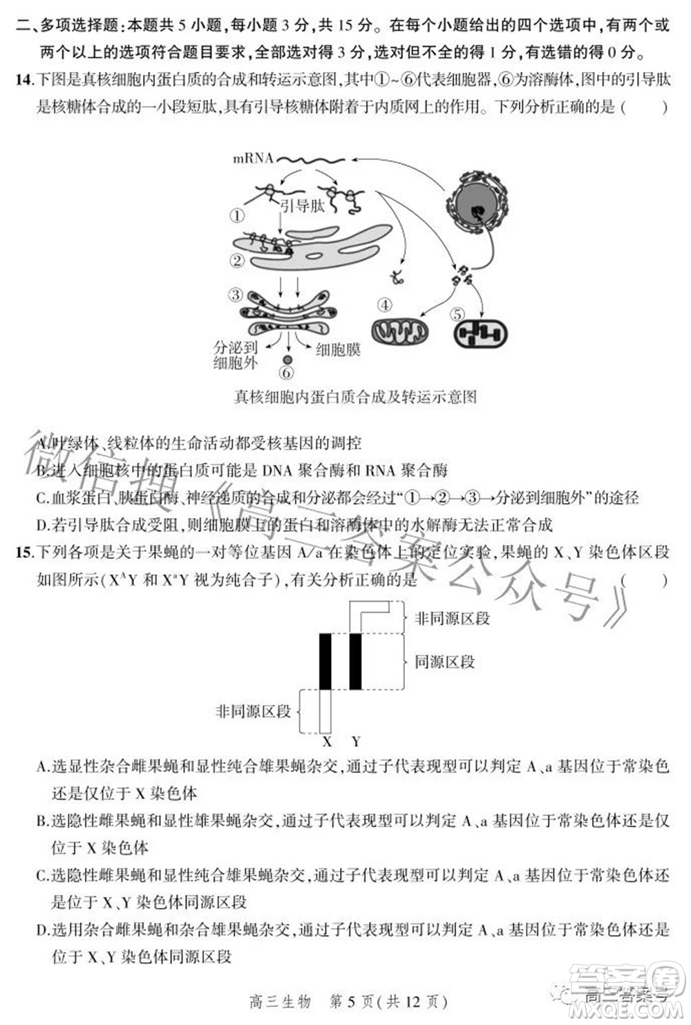 2023屆河北省示范性高中高三年級調(diào)研考試生物試題及答案