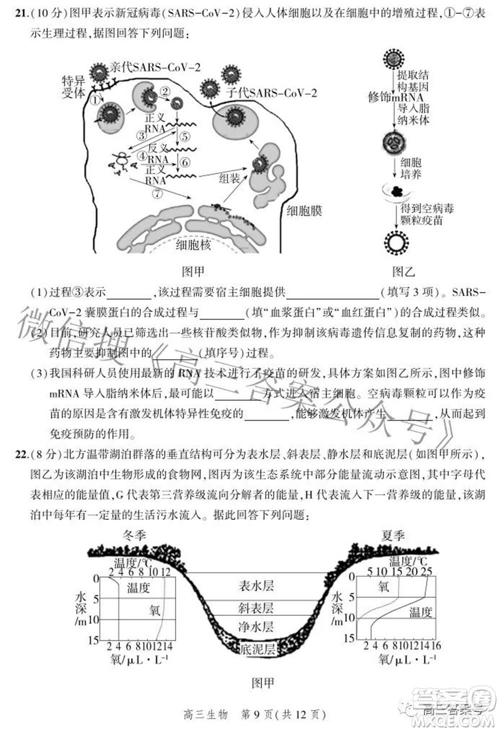 2023屆河北省示范性高中高三年級調(diào)研考試生物試題及答案