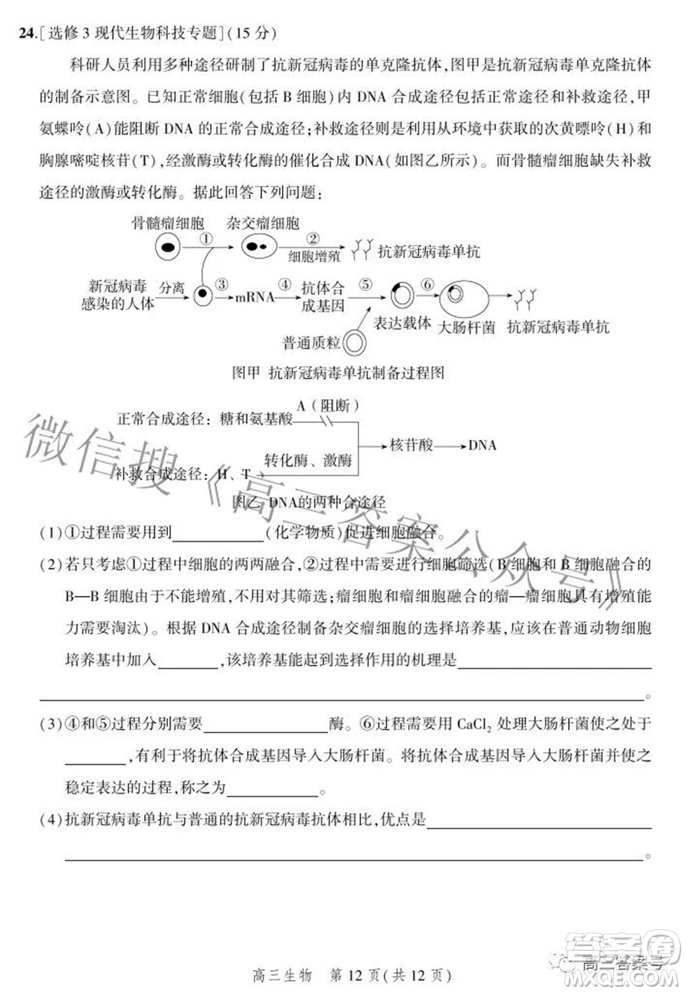 2023屆河北省示范性高中高三年級調(diào)研考試生物試題及答案