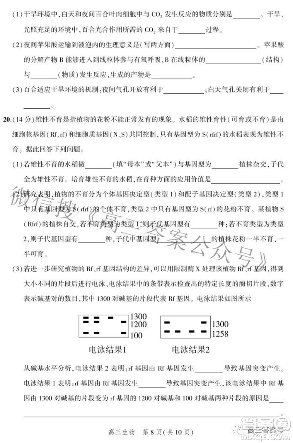 2023屆河北省示范性高中高三年級調(diào)研考試生物試題及答案