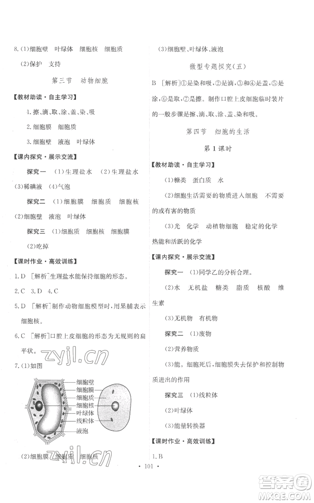 人民教育出版社2022能力培養(yǎng)與測試七年級上冊生物學人教版參考答案